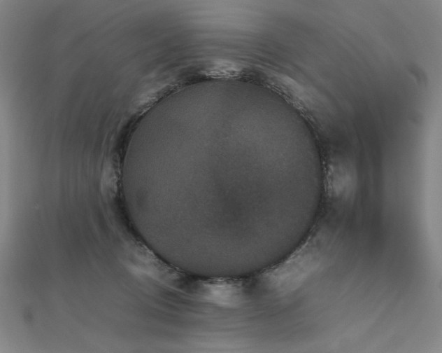 X0000112510370200908171338