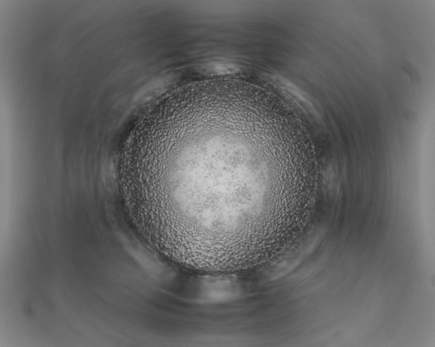 X0000112510373200908171339