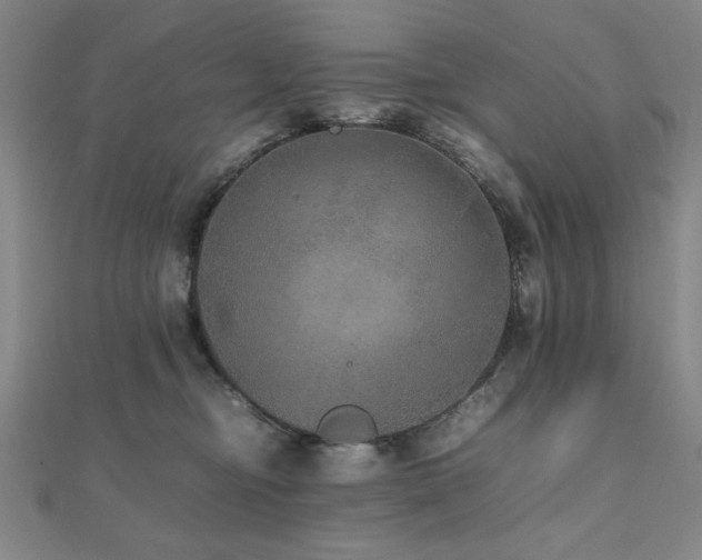 X0000112510374200908171339