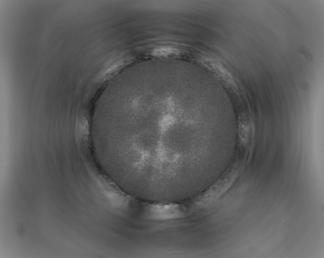 X0000112510375200908171339