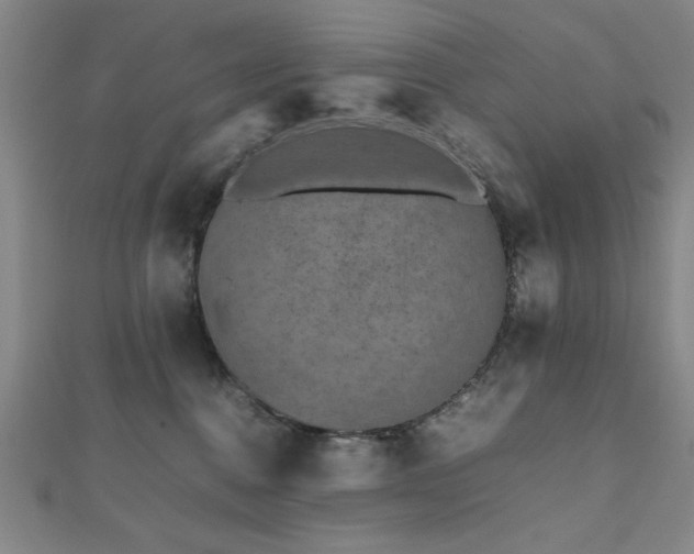 X0000112510376200908171339