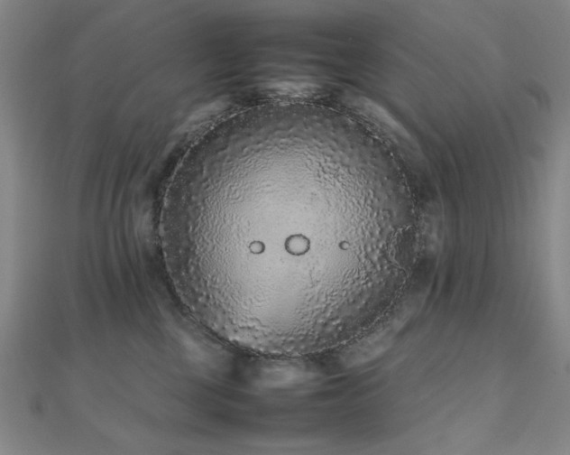 X0000112510377200908171339