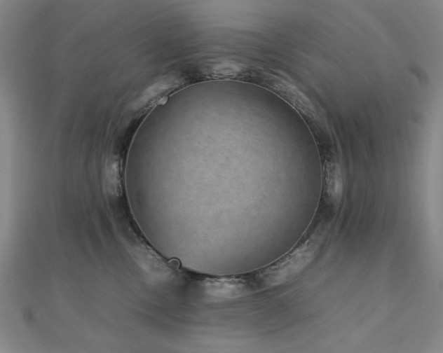 X0000112510378200908171339