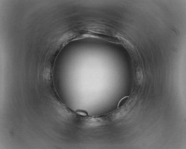 X0000112510379200908171339