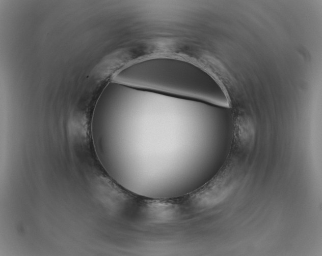 X0000112510380200908171339