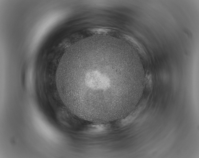 X0000112510381200908171339