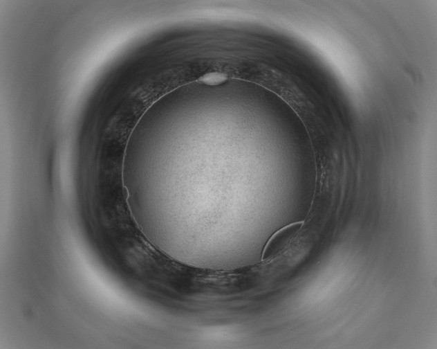 X0000112510383200908171339