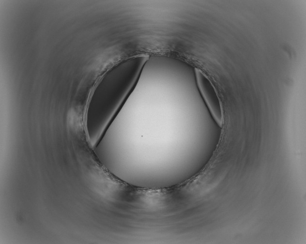 X0000112510384200908171339