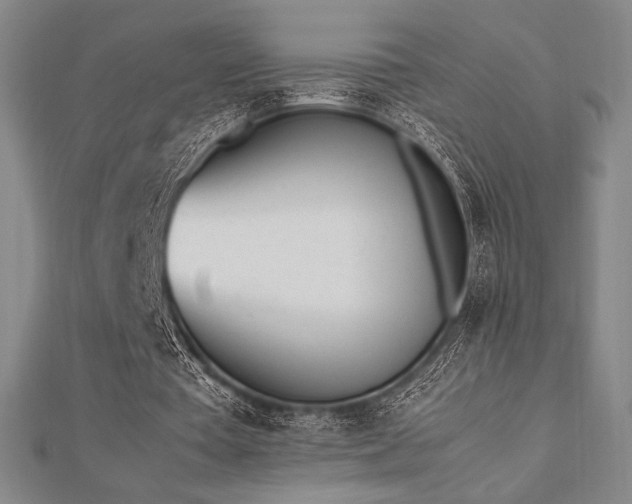 X0000112510385200908171338