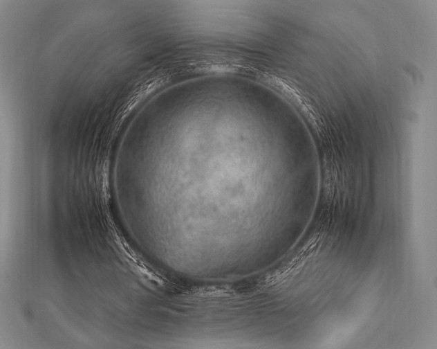 X0000112510386200908171338