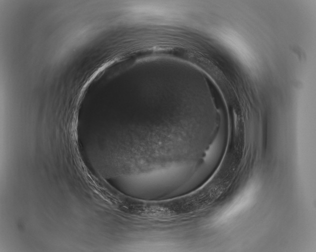 X0000112510387200908171338