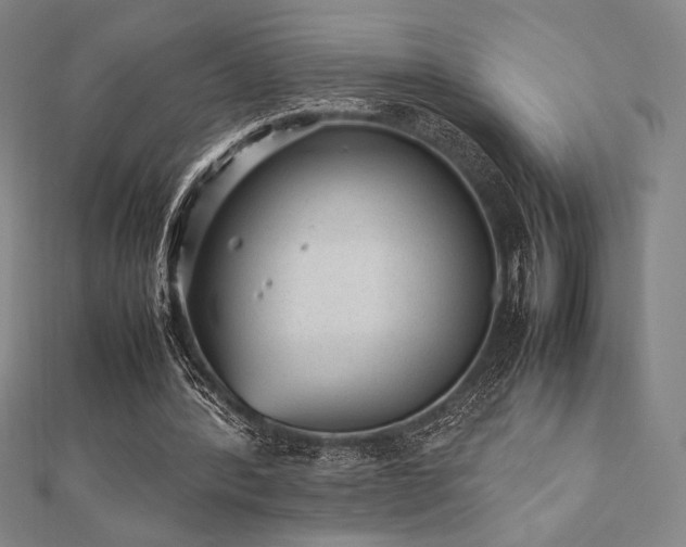 X0000112510388200908171338