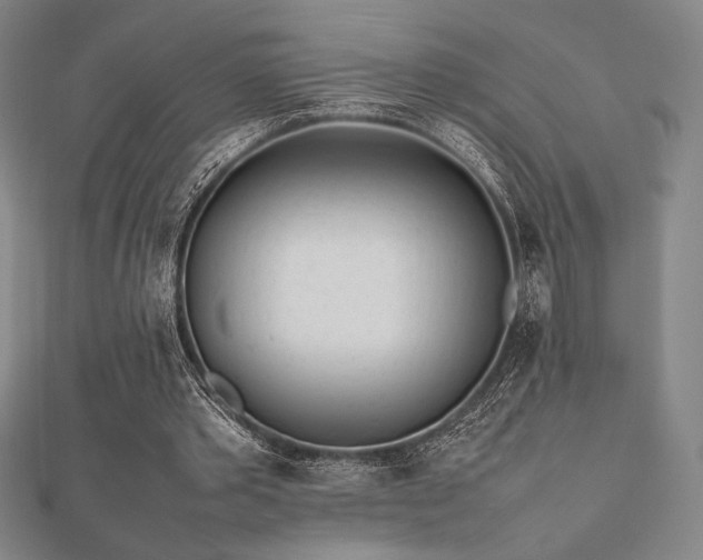 X0000112510389200908171338