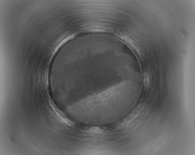 X0000112510390200908171338