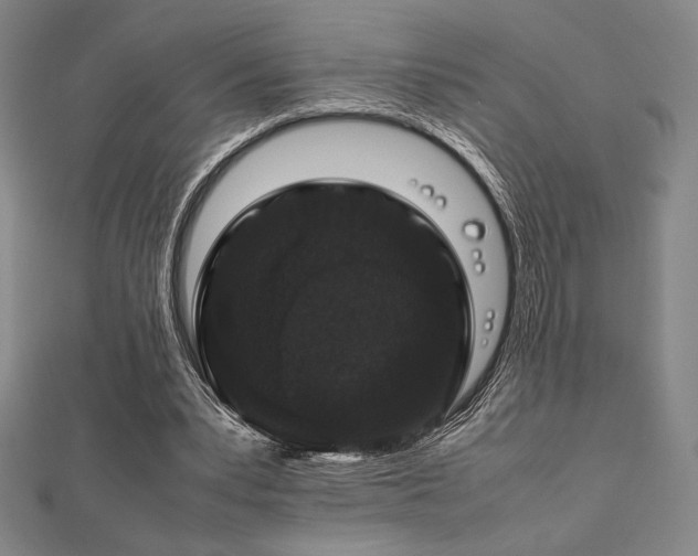 X0000112510391200908171338