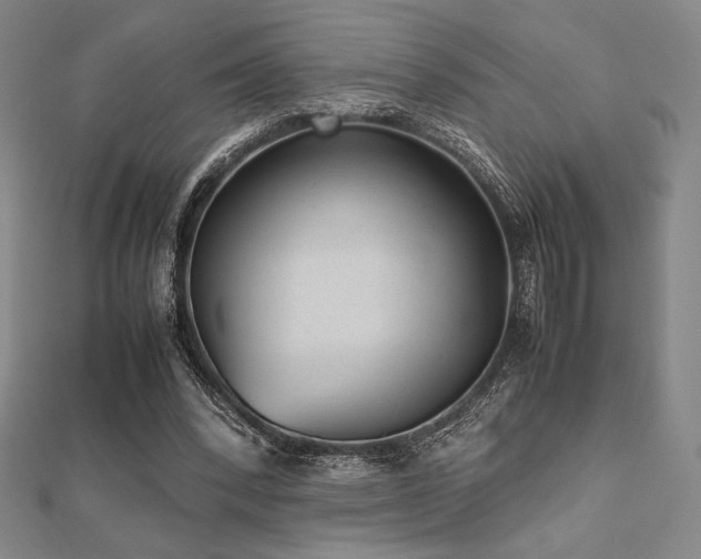 X0000112510392200908171338