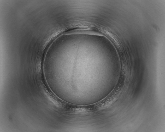 X0000112510394200908171338