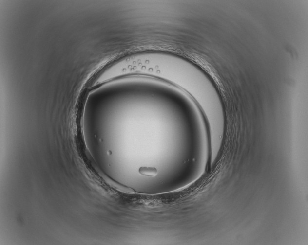 X0000112510395200908171338