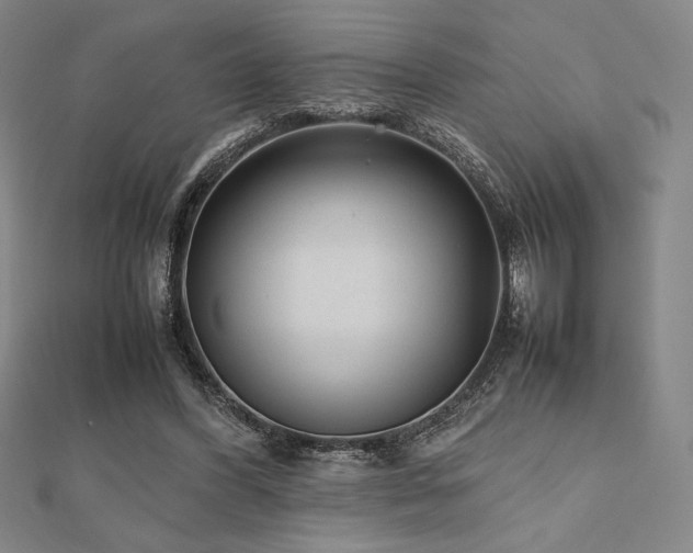 X0000112510396200908171338