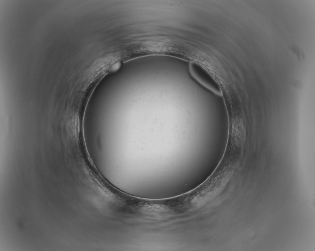 X0000112510397200908171338