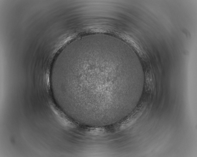 X0000112510398200908171338