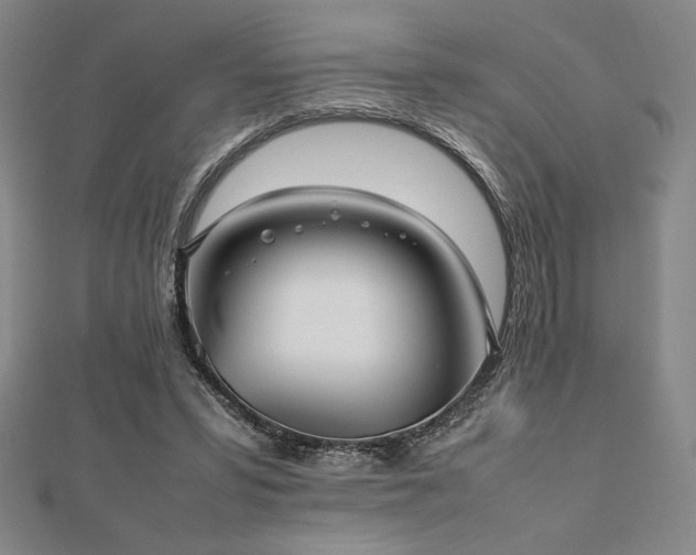 X0000112510399200908171338