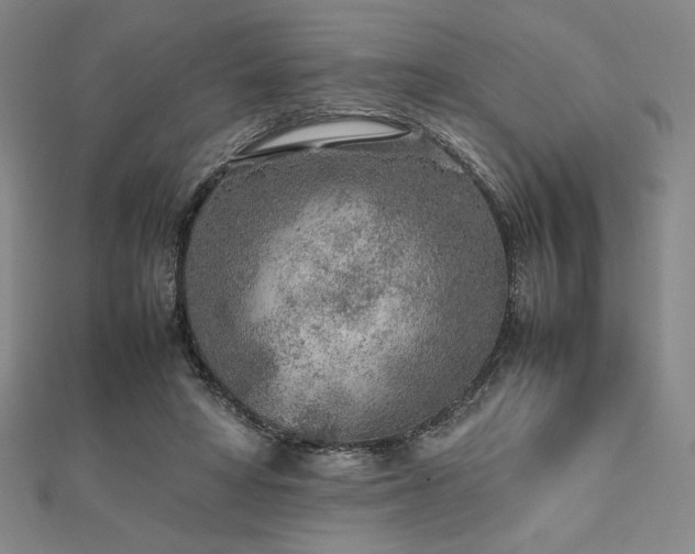 X0000112510402200908171338