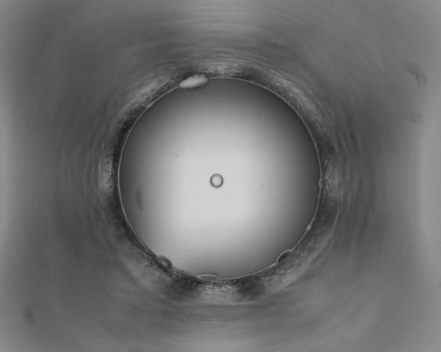 X0000112510403200908171338