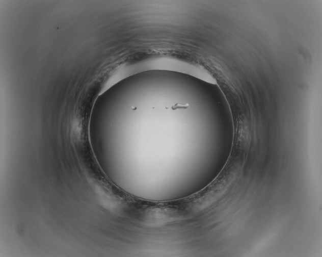 X0000112510408200908171338