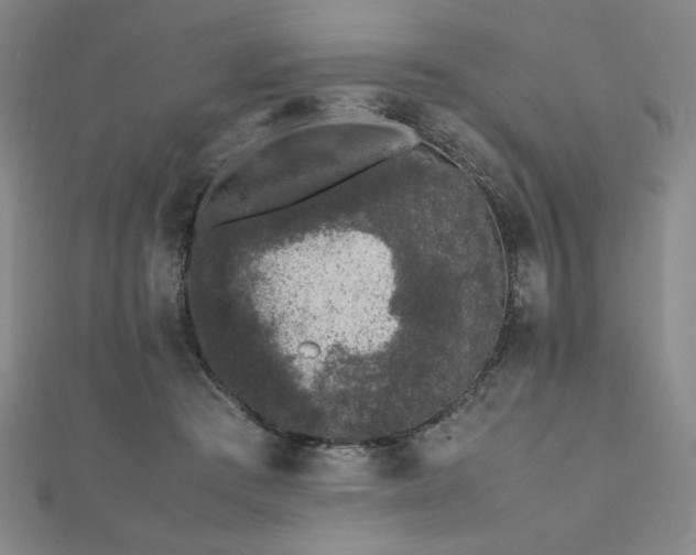 X0000112510409200908171338