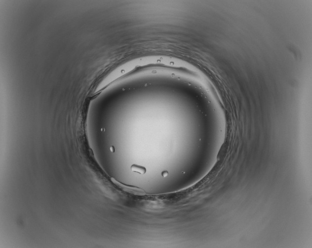 X0000112510411200908171338