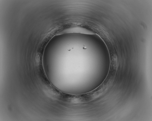 X0000112510412200908171338