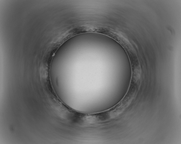 X0000112510413200908171338