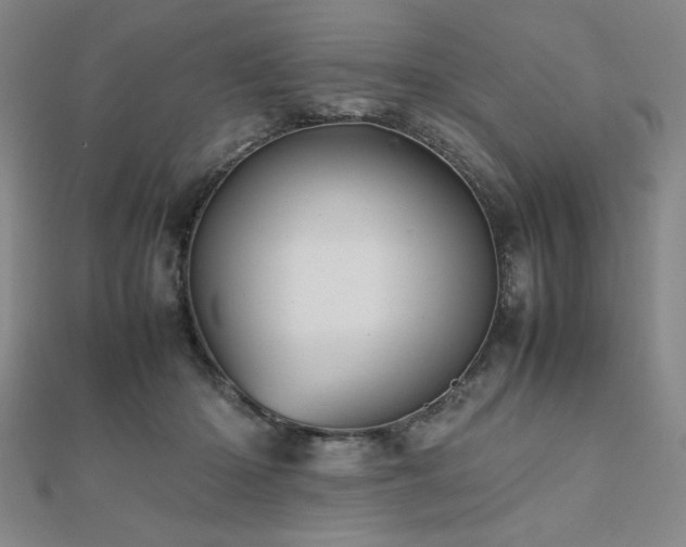 X0000112510414200908171338