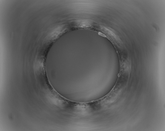 X0000112510415200908171338