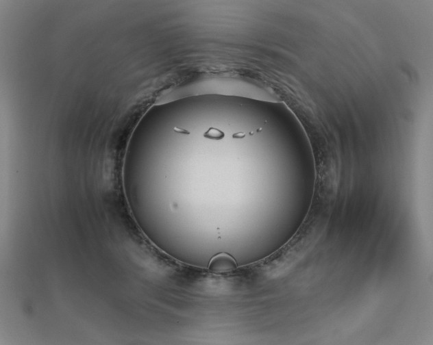 X0000112510416200908171338