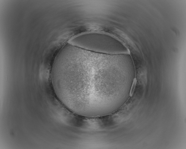 X0000112510417200908171338