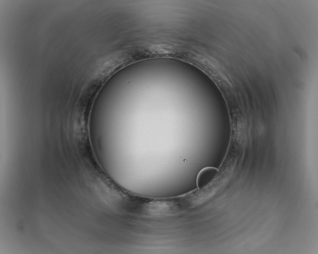 X0000112510418200908171338