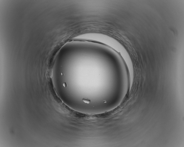 X0000112510419200908171338