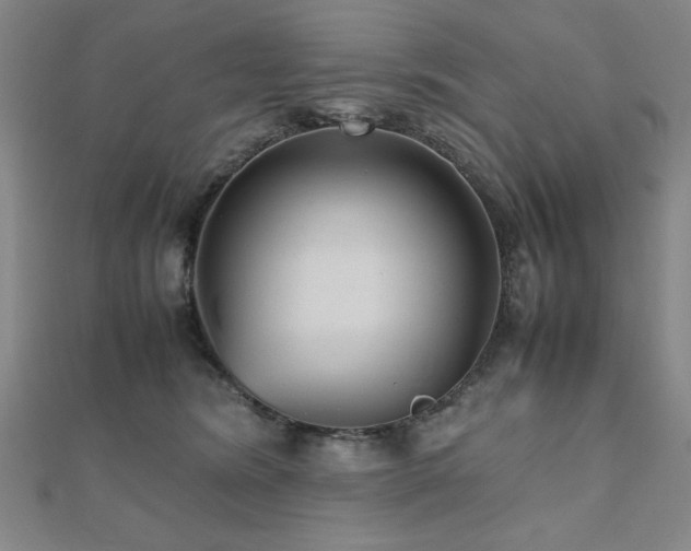 X0000112510420200908171338