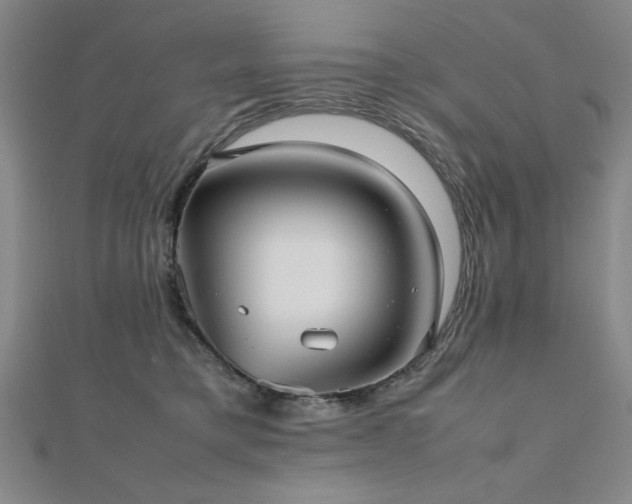 X0000112510421200908171338