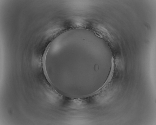 X0000112510423200908171338