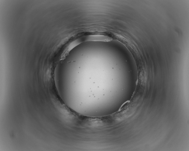 X0000112510424200908171337