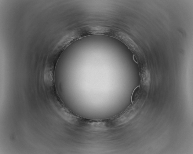 X0000112510426200908171337