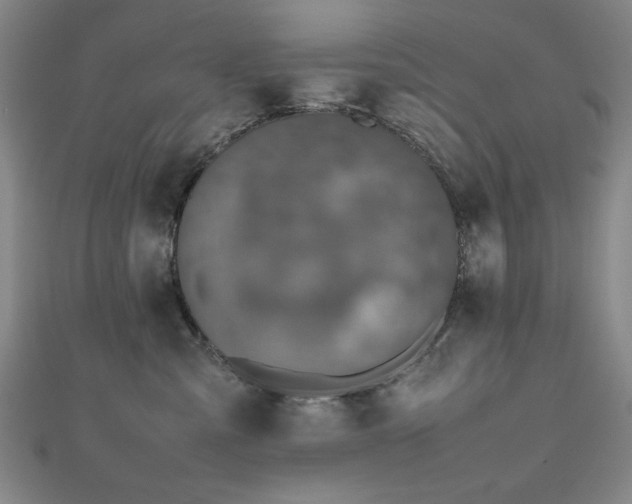 X0000112510427200908171337