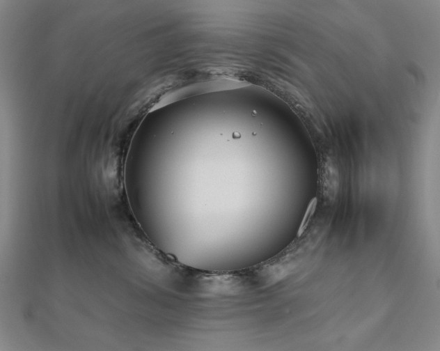 X0000112510428200908171337