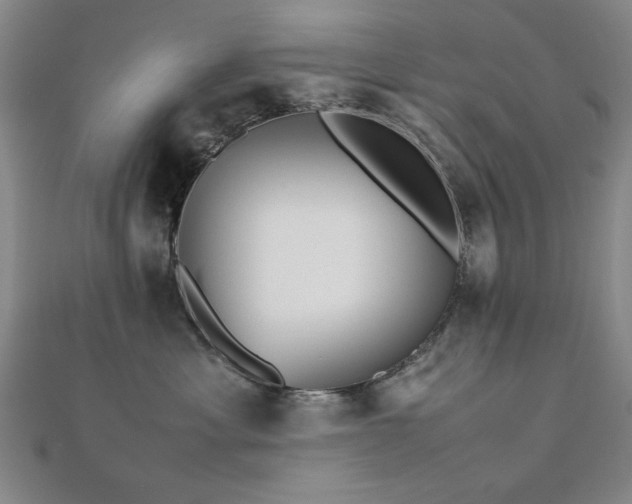 X0000112510429200908171337