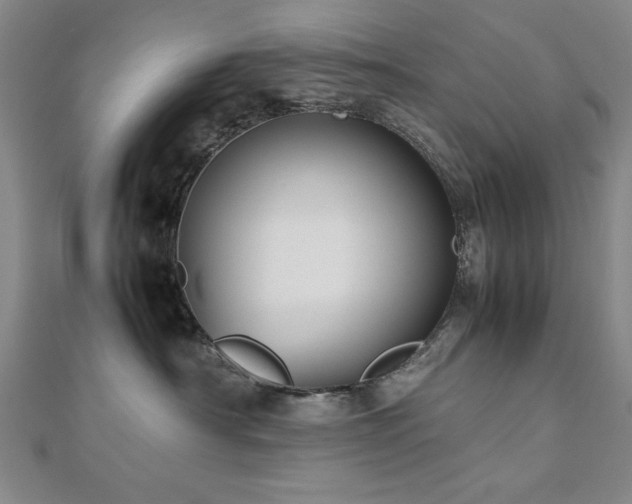 X0000112510430200908171337