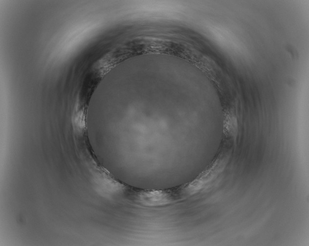 X0000112510431200908171337