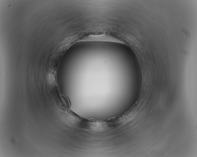 X0000112510432200908171337